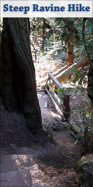 Steep Ravine Hike